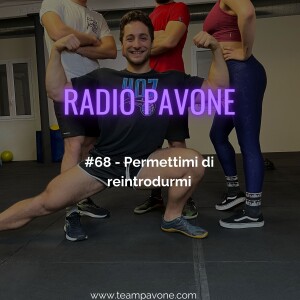 #68 - Permettimi di reintrodurmi