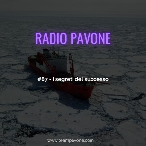 #87 - I segreti del successo