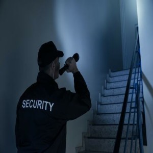 How Earthquakes Test Competency of Security Guards?