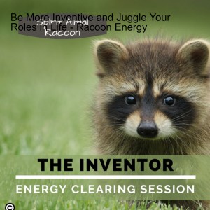 Animal Spirit Guide Racoon - The Inventor