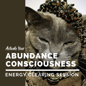 Your Abundance Consciousness