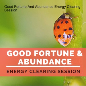 Good Fortune and Abundance Energy Clearing Session