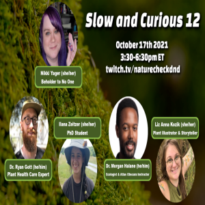 Slow and Curious 12 | Special One-Shot