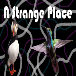 Gull Fight at the Puffin Corral | Strange One-Shot