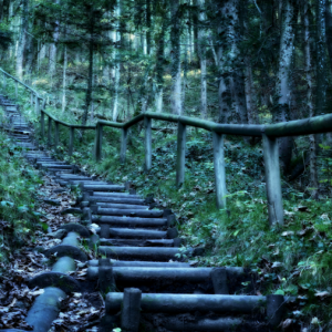 Introduction to Meditation: Finding Pathways