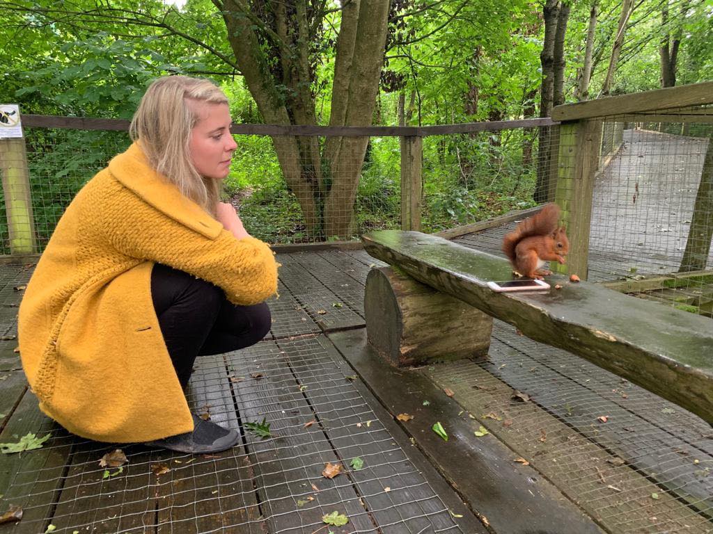 #3 THE ONE ABOUT RED SQUIRRELS