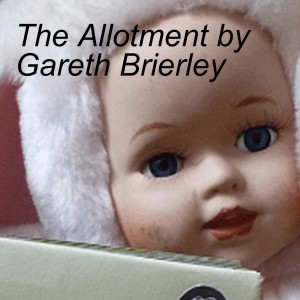 The Allotment by Gareth Brierley