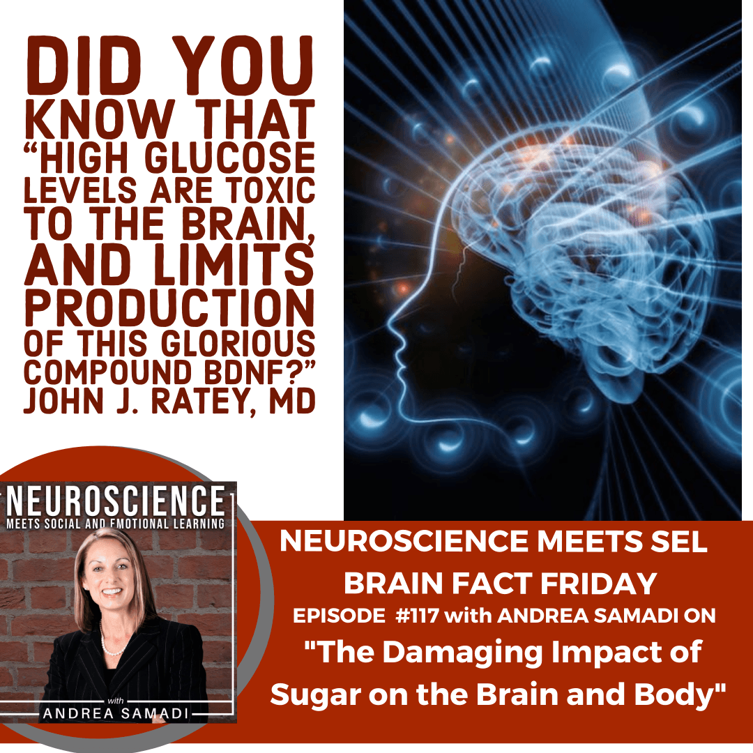 Brain Fact Friday on ”The Damaging Impact of Sugar on the Brain and Body.”