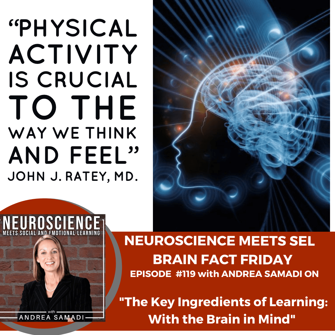 Brain Fact Friday on "The Key Ingredients of Learning with the Brain in Mind."