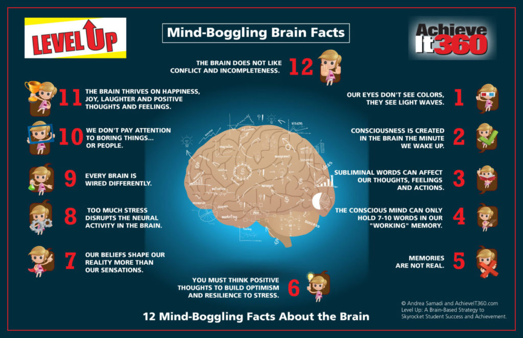 andrea-samadi-s-12-mind-boggling-discoveries-about-the-brain