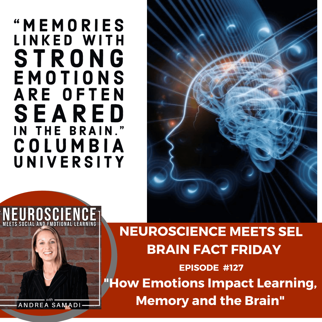 Brain Fact Friday "How Our Emotions Impact Learning, Memory and the Brain"