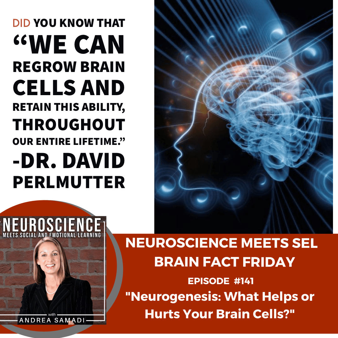 Brain Fact Friday on "Neurogenesis: What Hurts or Helps Your Brain Cells?"