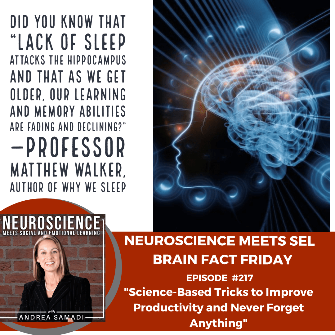 Brain Fact Friday on ”Science-Based Tricks to Improve Productivity and Never Forget Anything”