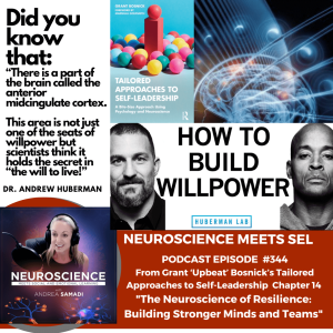 The Neuroscience of Resilience: Building Stronger Minds and Teams: Insights from Grant Upbeat Bosnick (Chapter 14)