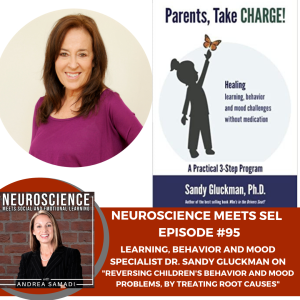 Dr. Sandy Gluckman on "Reversing Children's Behavior and Mood Problems by Treating Root Causes."