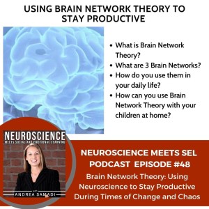 Brain Network Theory: Using Neuroscience to Stay Productive During Times of Change and Chaos