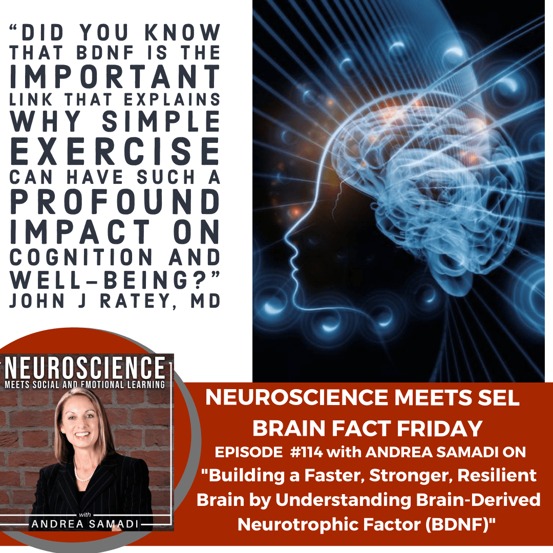 Brain Fact Friday on "Building a Faster, Stronger, Resilient Brain, by Understanding Brain-Derived Neurotrophic Factor (BDNF)"