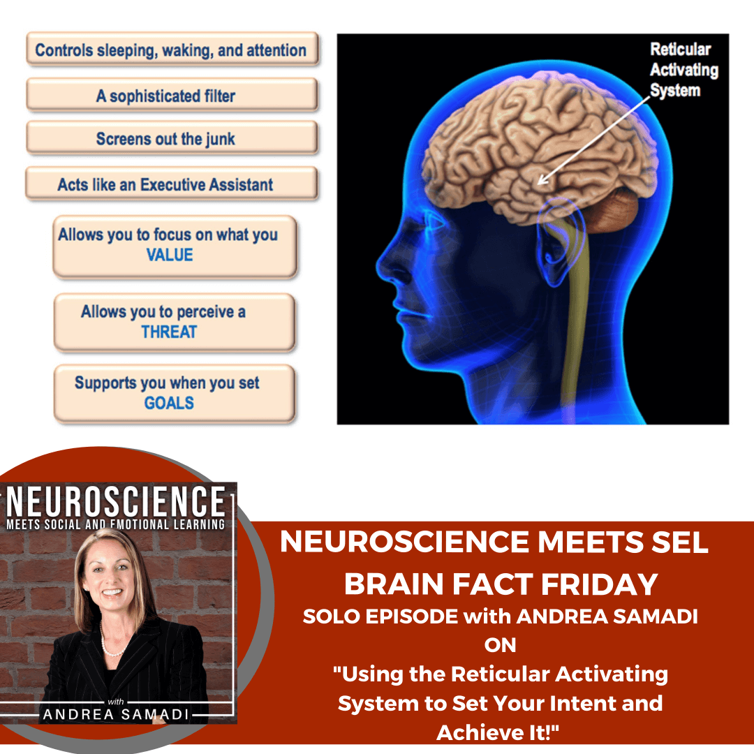 Brain Fact Friday On Using The Reticular Activating System To Set Your Intent And Achieve It