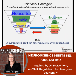 Self-Regulation and Your Brain: How to Bounce Back Towards Resiliency