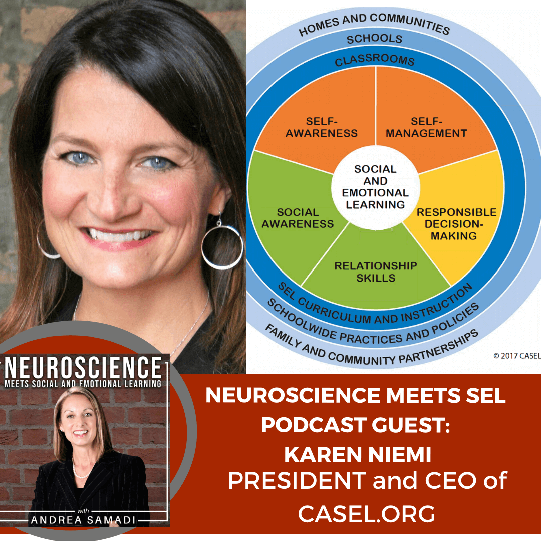 CEO and President of Casel, Karen Niemi on "Tools and Strategies to Enhance and Expand SEL in our Schools and Communities"