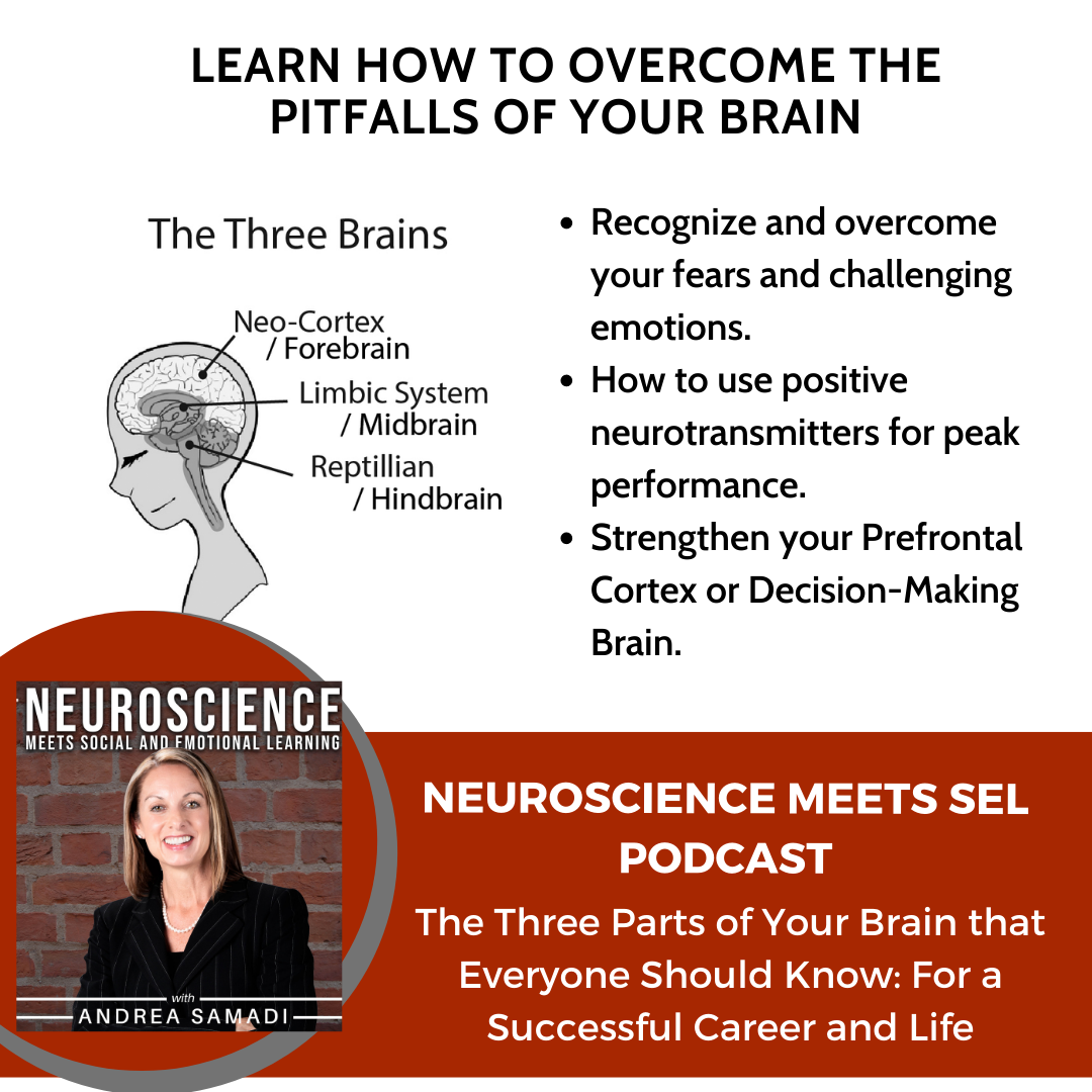 Neuroscience Meets Social And Emotional Learning Podbay