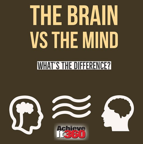 cover of episode Understanding the Difference Between Your Mind and Brain
