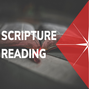 Romans 12-16 and Philippians: A Scripture Reading