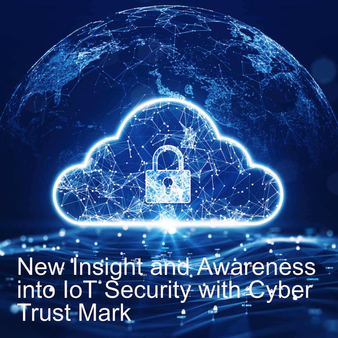 New Insight and Awareness into IoT Security with Cyber Trust Mark