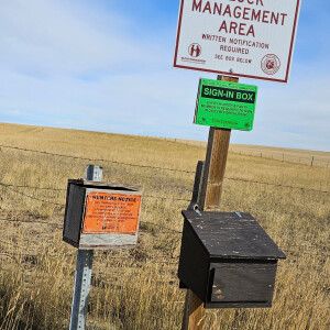 Bottle & Mic: debriefing a Montana sharptail road trip