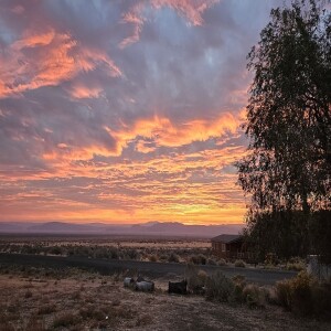 Bottle & Mic edition: chukar opener debrief from the field ... 3 friends, 3 dogs and a few more birds