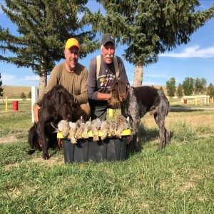 Two bird hunting friends talk wild chukars and quail, public access, serendipity, and fire pits