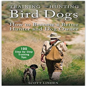 Bird hunting podcast: What the Dogs Taught Me ... and maybe you too. Are you still hunting ... in this weather?