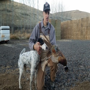 Bird hunting podcast: Wild Huns, wilder country - how’d it go? Your DOG’s new year’s resolutions