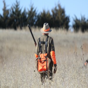 Bird hunters’ shooting lessons - what other folks have taught me (and now, you)
