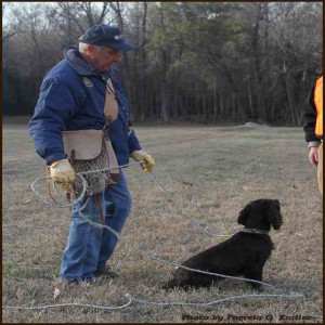 Bird hunting: who trains better - men or women? Pro trainer’s insights on spaniels, ”dog whispering,” and a public access destination too!