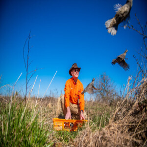 Quail farts ... and is one bird worth $1,000? Quail biologist has hunting tips and hope for bobs