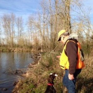 Chukar hunter, test judge, trainer extraordinaire ... Phil Swain shares his experience and expertise