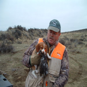 Bird hunting: what does your dog really want? Your plans for the off-season