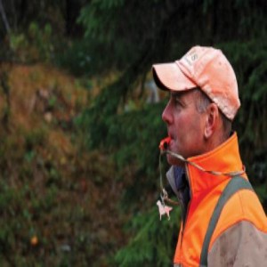 Pro trainer's insights on forest grouse, dogs, shooting and how to be a good guest