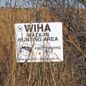 Public access bird hunting: some starting points for your next trip west or southeast