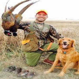 Why aren't there more quail? Your questions answered. Bird dog shopping, an alternative pheasant destination.