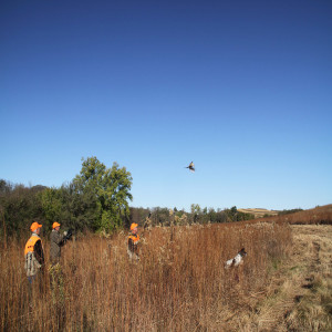 Better bird hunting through better shooting: expert instructors take us to school, literally