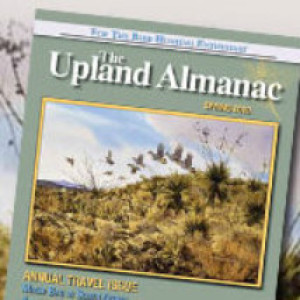 Making an upland bird hunting magazine, public bobwhites, dog gear, your gear recommendations