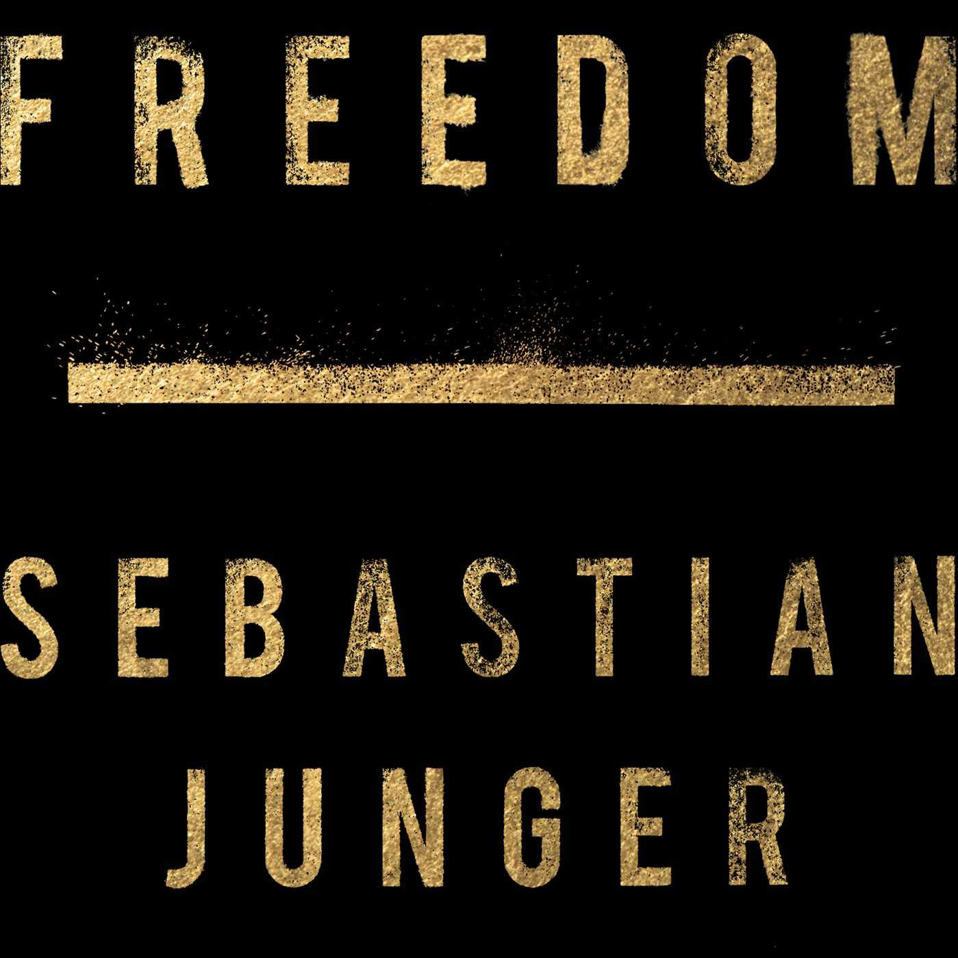 Freedom (Sebastian Junger)