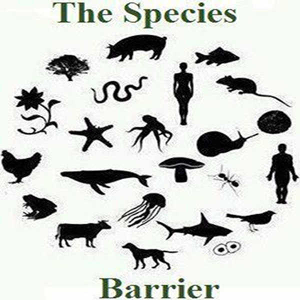 The Species Barrier Episode #24 Balls