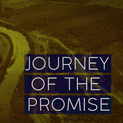 Journey of the Promise - Week 4