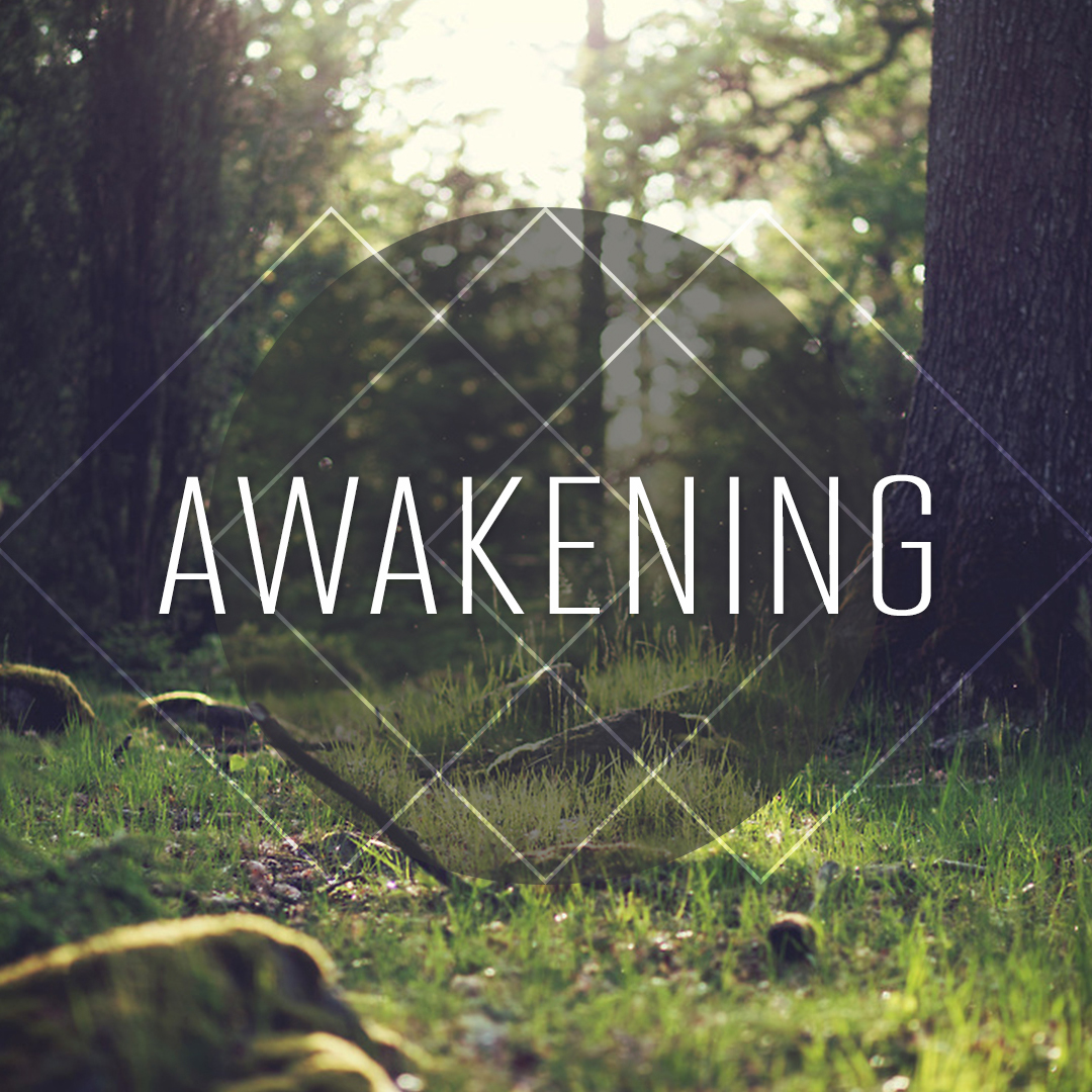 Awakening 2