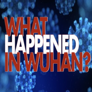 What Happened In Wuhan?