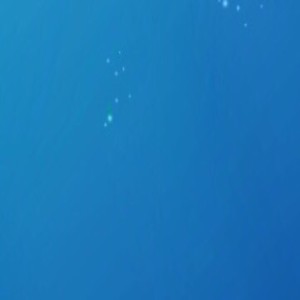 live_20210514_115450