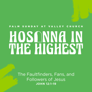 Palm Sunday at Valley Church - The Faultfinders, Fans, and Followers of Jesus